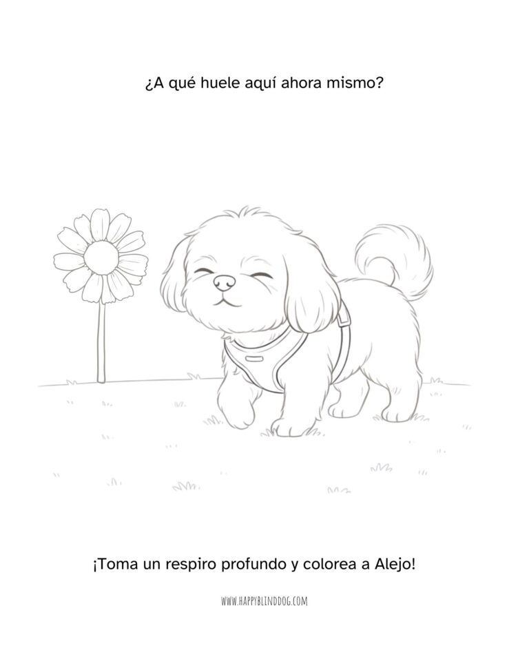 colourmealejo