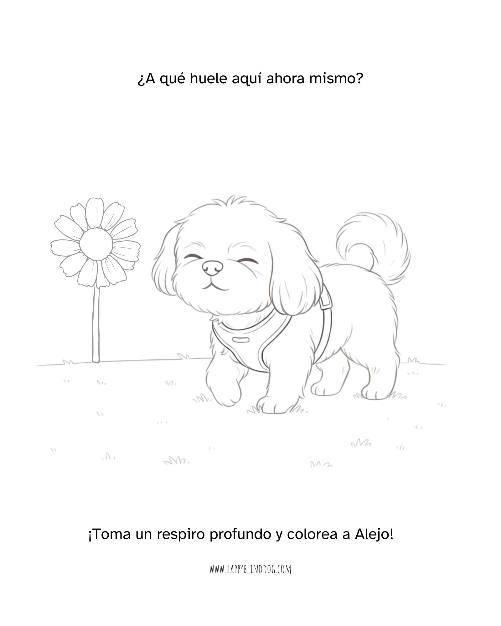 colourmealejo