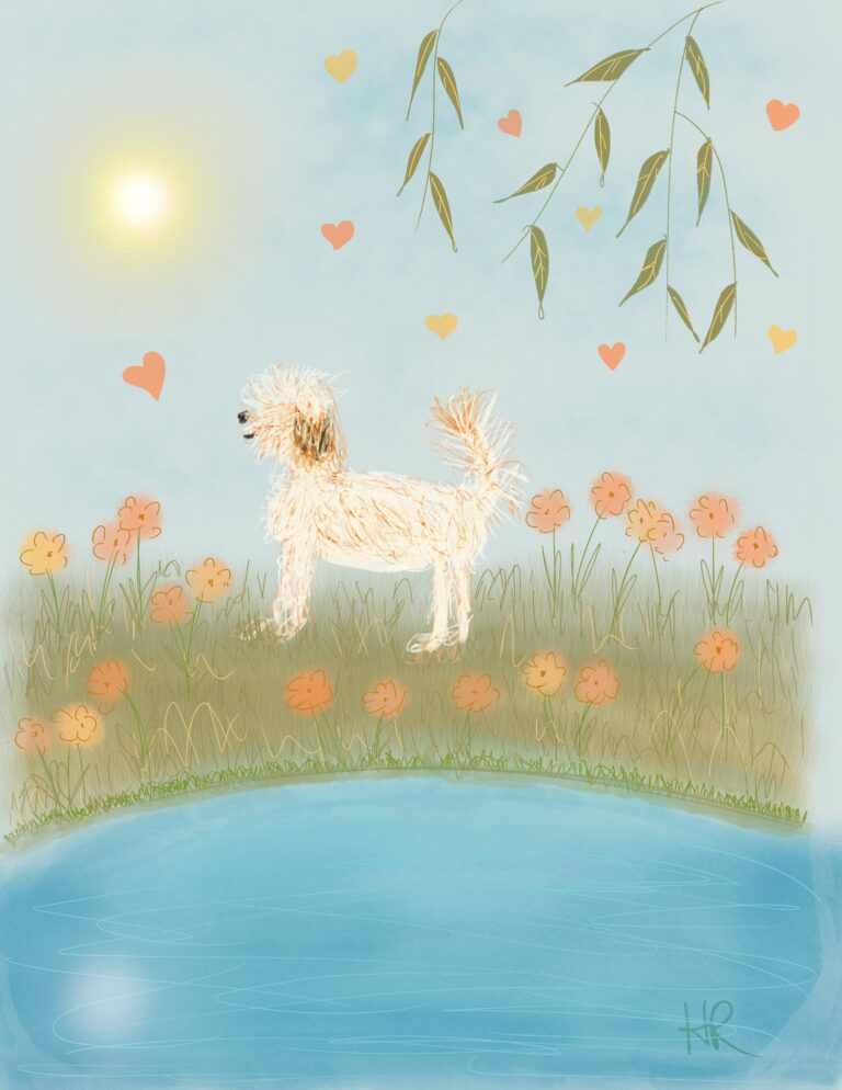 garden sketch