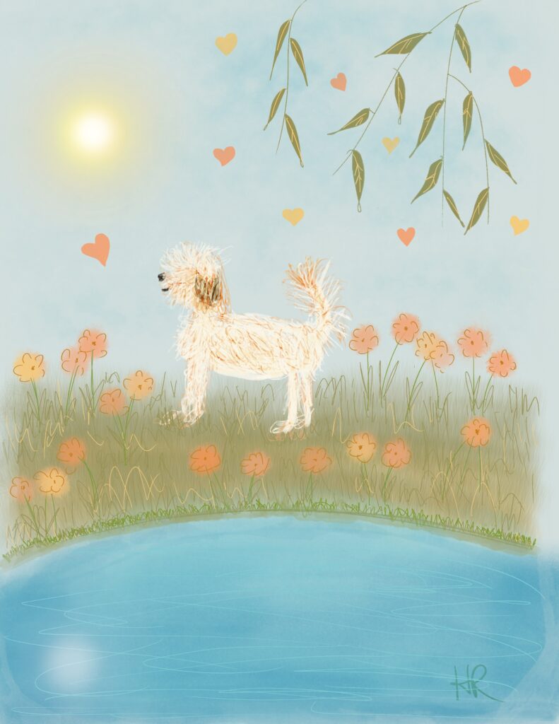 garden sketch